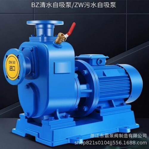 BZ直连自吸泵卧式管道离心泵大流量高扬程抽水泵三相循环清水泵
