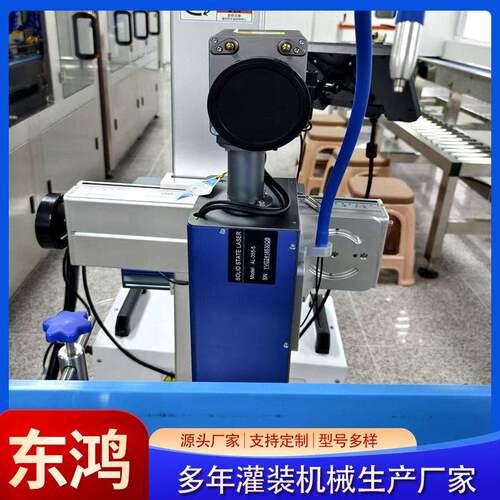 饮料厂专用倒杀菌机流水线激光打码机全自动杀菌喷码一体生产线