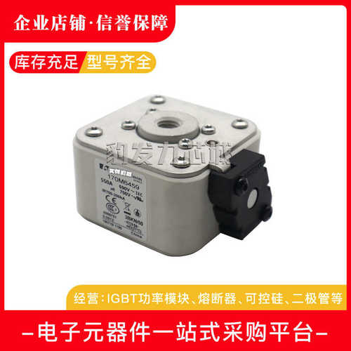 170M6499 170M6500 170M6501 170M6644 170M6645全新熔断器现货