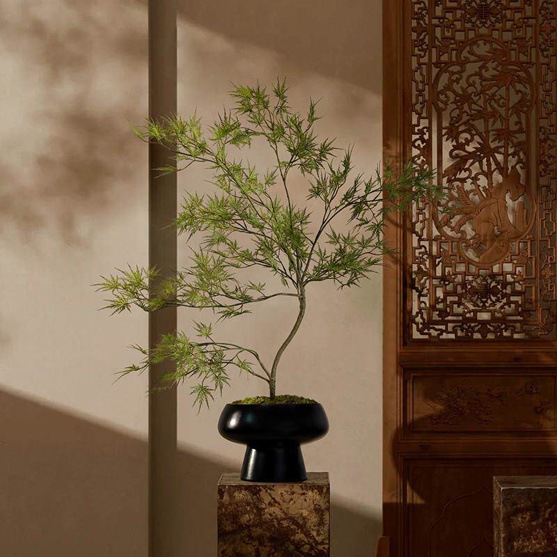 彷真绿植羽毛枫高端彷生植物侘寂风桌面盆景新中式盆栽装饰摆件