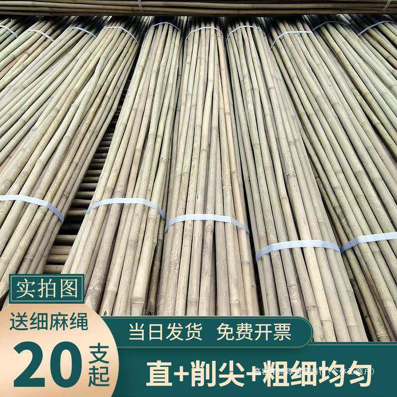 竹竿子搭架菜园小竹子细竹杆豆角黄瓜月季支架爬藤架旗杆2米支起
