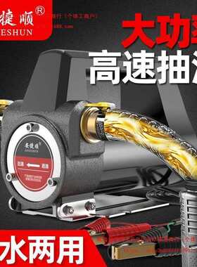 安捷顺电动抽油泵小型12v24v220v伏液压油自吸泵齿轮油机油加油机