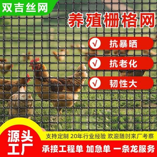 加厚塑料围网养殖防护网农村家用菜园养鸡养鸭鱼塘果园围栏网
