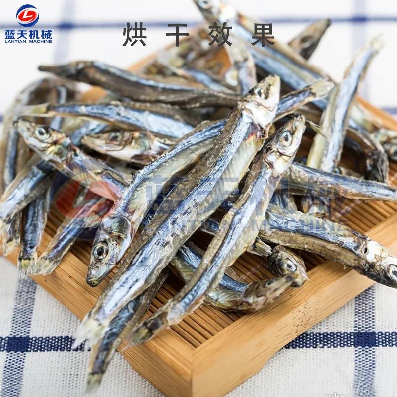 小型鱼干V烘干机干商鱿用小鱼干烘干房2LT-YGF20免安装银鱼干鱼烘