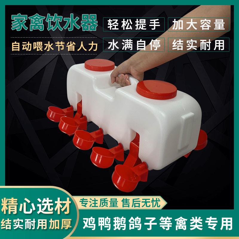 鸡用自动饮水器散养鸡鸭喂水壶鸡水桶养殖鹅水槽大小鸡水槽鸡水碗