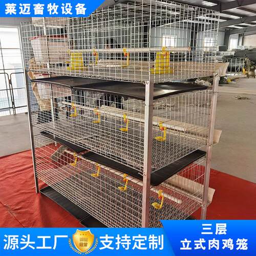 大层叠蛋鸡笼全自动养殖笼具三层四层热镀锌鸡笼养殖设备养鸡笼