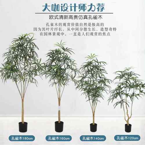 装真孔雀木大FZKQM型热仿带植物孔雀仿木假树生盆栽室内外饰仿真