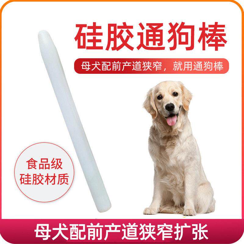 兽用子宫扩张器母犬通狗棒犬人工输精产道扩张工具母犬产道狭窄