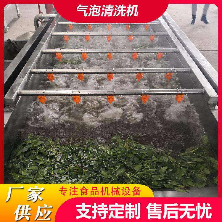 海带丝脱盐清洗机全自动洋葱喷淋气泡设备海带丝加工