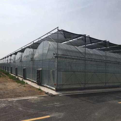 薄膜连栋温室大棚 蔬果种植大棚 草莓阳光薄膜日光温室花卉养殖棚