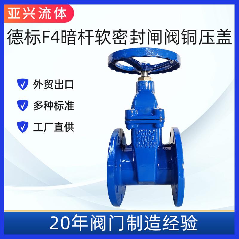 德标F4暗杆软密封不锈钢阀杆法兰闸阀手轮铜压盖实力厂家
