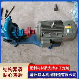 0.28电动小型润滑油输送泵齿轮厂家加工泵机械生产 2CY58
