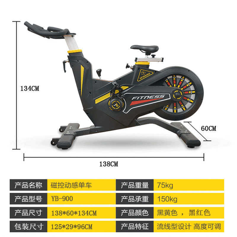 商用后置 飞轮单车bikeexercise豪华健身房外贸动感磁控专用
