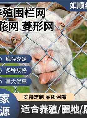 畜牧养殖菱形钢丝动物园安全防护围栏隔离斜方编织方格镀锌勾花网