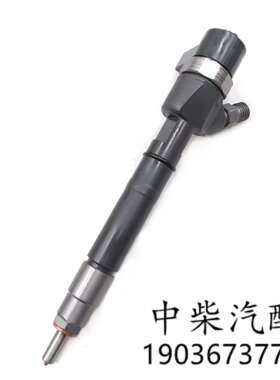 柴油共轨喷油器0445110162总成高压燃油喷射器