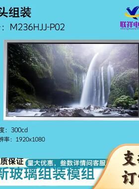 液晶模组显示器群创玻璃组装屏幕23.6广告机监控M236HJJ-P02