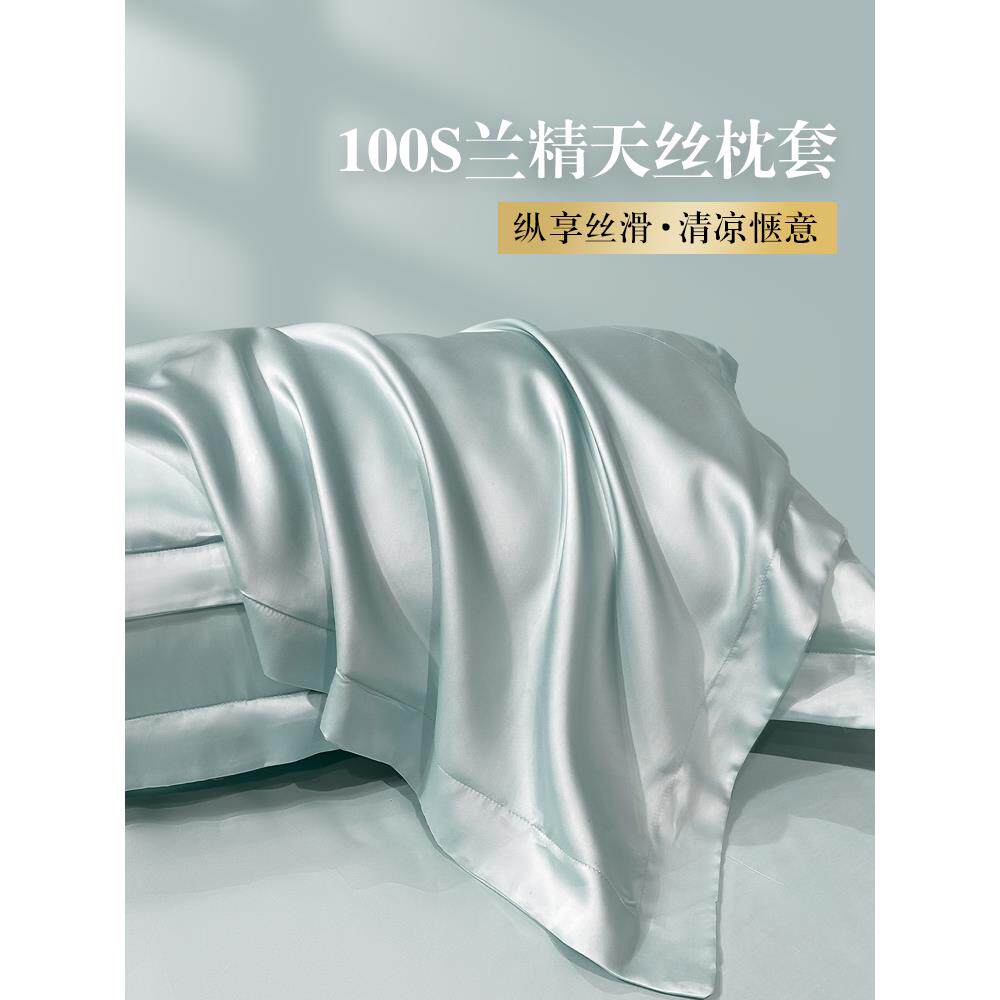 100S纯色兰精天丝夏季枕套一对装冰丝枕头套真丝家用单双人整头套