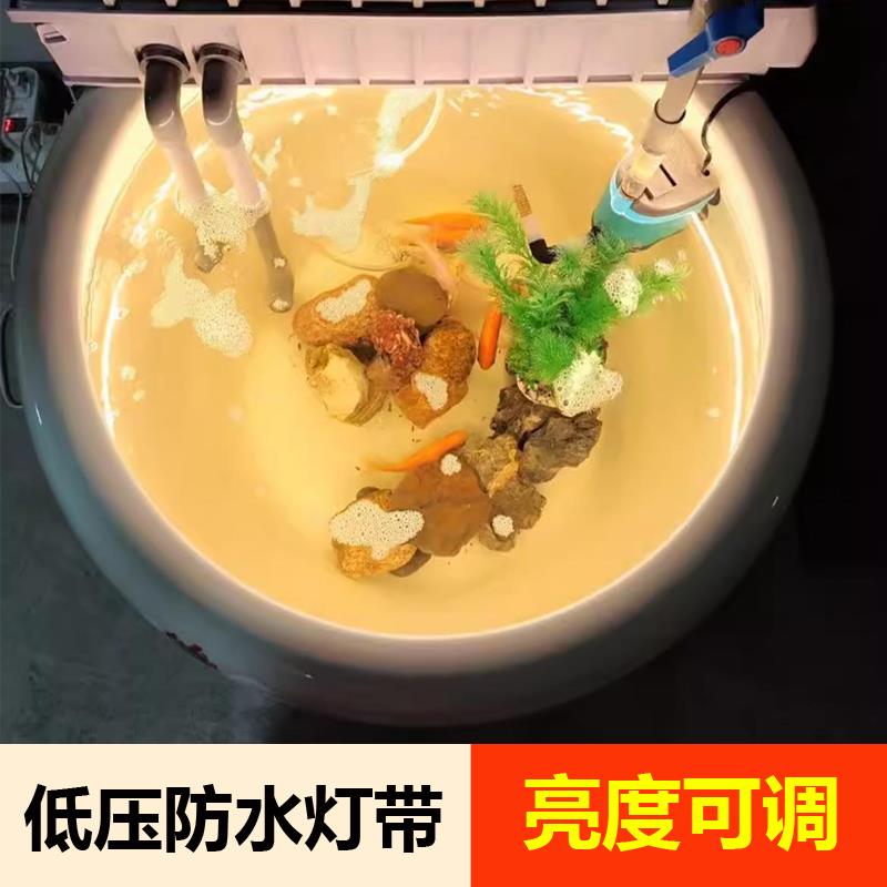 12V24v低压包胶灯带led灯条高亮自粘货车鱼缸电瓶车专用户外防水