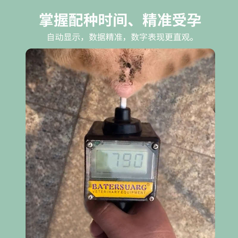 倍特双犬用排卵仪发情检测犬用排卵检测高精度排卵检测仪器测排卵