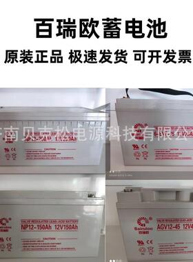 百瑞欧蓄电池BT/NP12-20012v长寿命