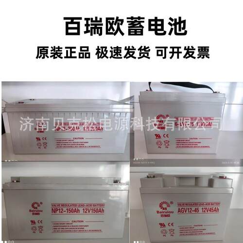 百瑞欧蓄电池BT/NP12-20012v长寿命