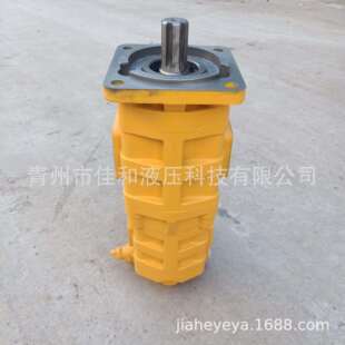 徐工500K装 载机齿轮泵1155442011