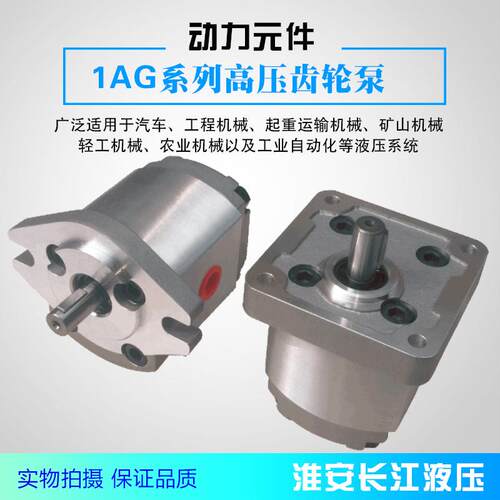 1AG系列高压高效液压齿轮油泵厂家直发现货供应淮安长江液