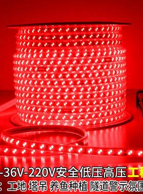 led红光灯带24V36V户外防水220V工程绿光塔吊隧道警示照明地下室