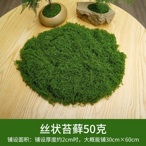 仿真绿植造景苔藓假植物装饰假花室内热带组合波斯橱窗景观草布置