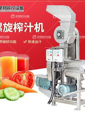 凤翔 工厂直销浆果螺旋榨汁机商用不锈钢柠檬胡萝卜打浆榨汁机