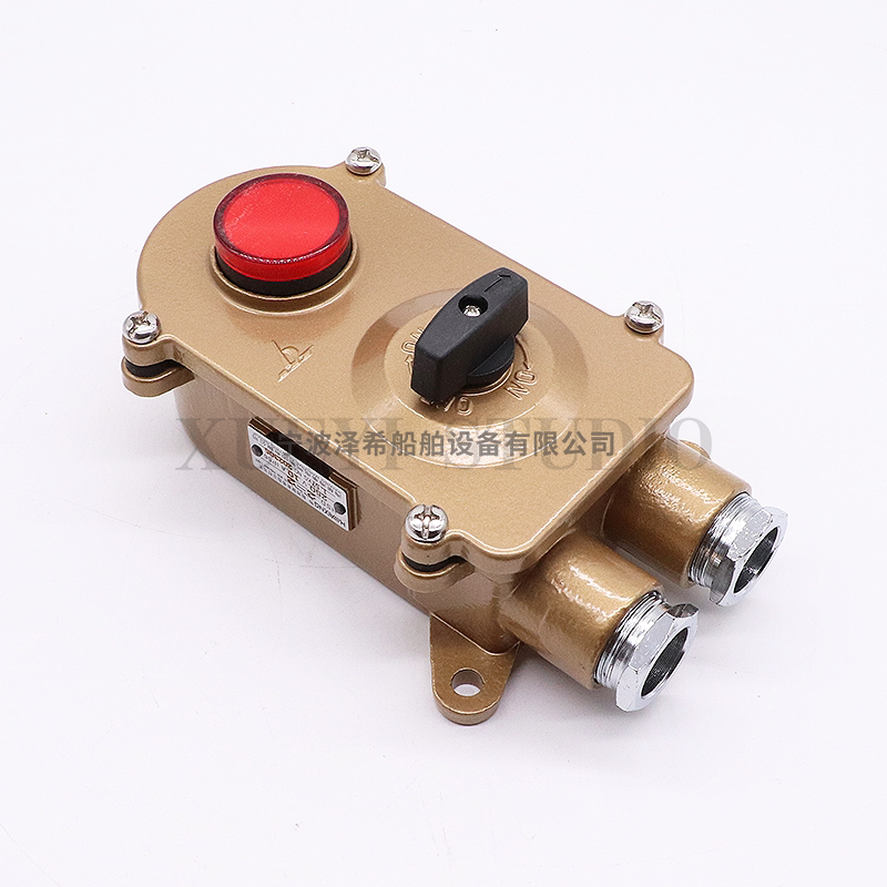 船用铜质带指示灯开关HSD2-2水密防水铜开关IP56海星海事250V10A