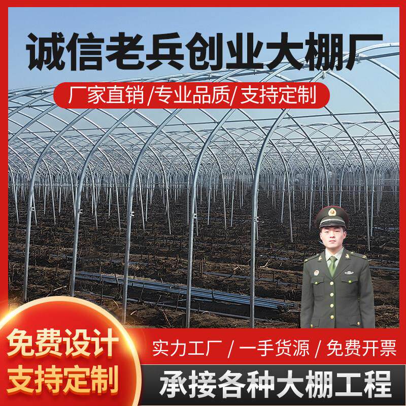 外遮阳连栋大棚连体种植大棚养殖大棚大棚骨架定制智能玻璃温室棚