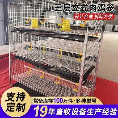 H型立式肉鸡笼镀锌雏肉鸡两用三层鸡笼层叠式含托粪盘塑料网水箱