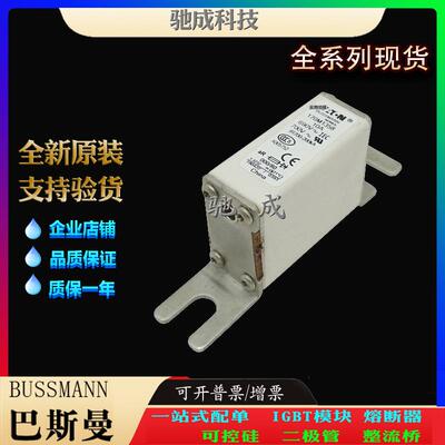 巴斯曼170M1322 170M1358 170M1359 长期厂价销售 快熔保险丝