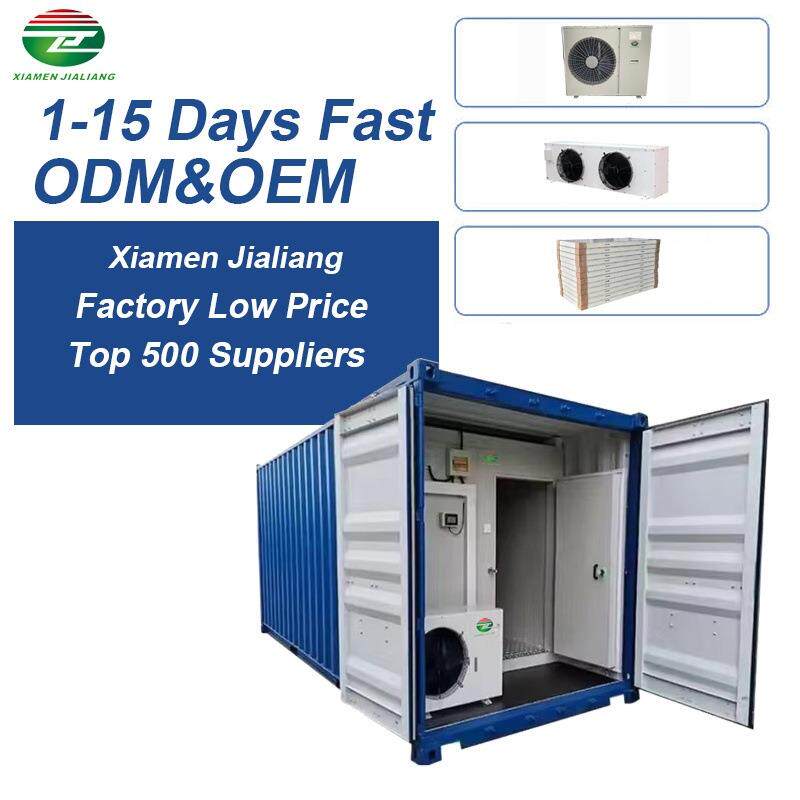 20尺柜ContainerColdRoom全套设备冷冻冷藏蔬菜海鲜集装箱冷库