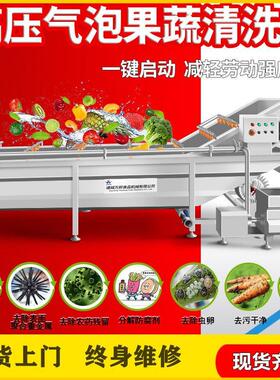 现货银条菜清洗机食品加工南椒洗菜机商用松茸清洗线
