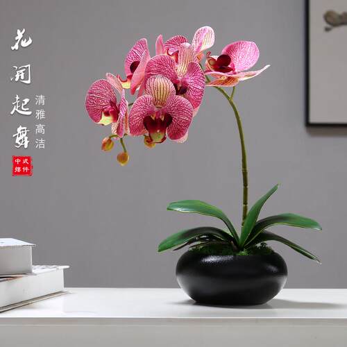 新中式蝴蝶兰彷真花摆件餐桌盆栽假花艺摆设客厅盆景桌面茶几装饰