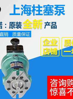 10SCY 16SCY 25SCY 32SCY 108SCY 250SCY 400SCY14-1D/轴向柱塞泵