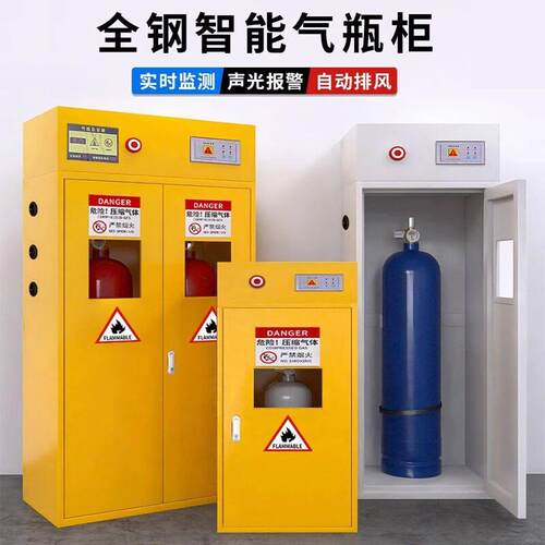 全钢防爆气柜安全柜实验室双煤气乙炔氮气氢气体钢储存柜