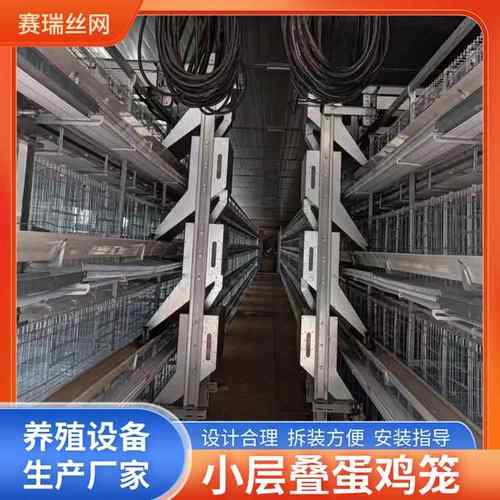 小层叠自动化蛋鸡笼清粪系统自动料线热镀锌养殖设备厂家