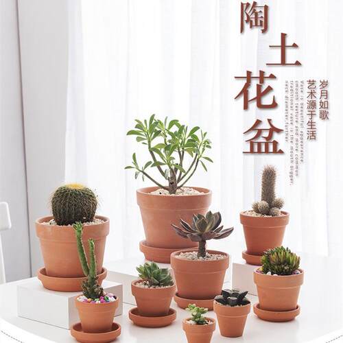 新款 红陶花盆国际盆陶瓷花盆低温透水性强多肉通用花盆现代装饰