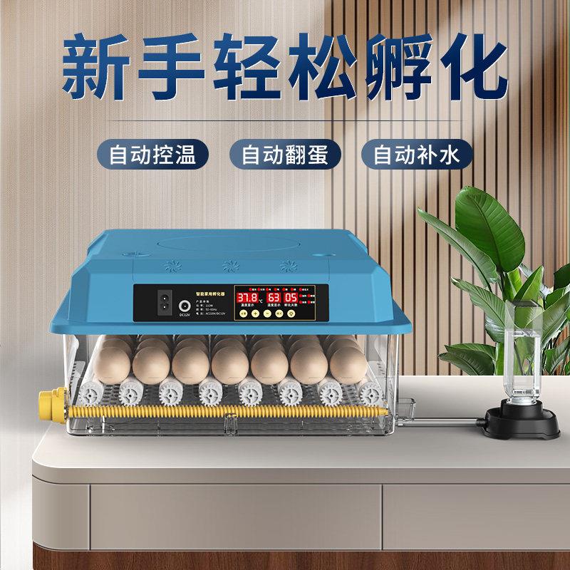 孵化器小型家用全自动智能小鸡孵化箱鸟蛋鸡蛋芦丁鸡孵化机孵蛋器