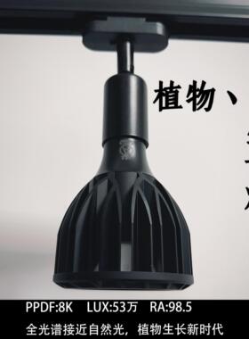 植物补光灯龙舌兰块根全光谱led仿太阳光UVA紫外线热植专用生长灯