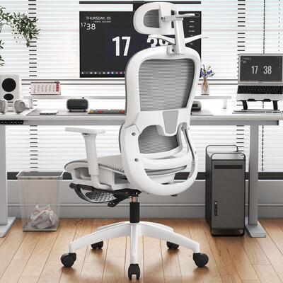 Ergonomic chair, reclining and carefree, computer chair