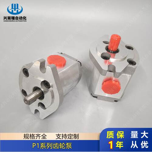 高压齿轮泵P104LP01G P105LP01G P106LP01G P107LP01G P109LP01G