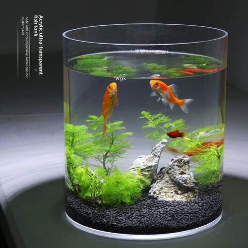亚克力创意圆柱形金鱼缸客厅小办公室桶鱼缸圆龟鱼缸家用鱼缸