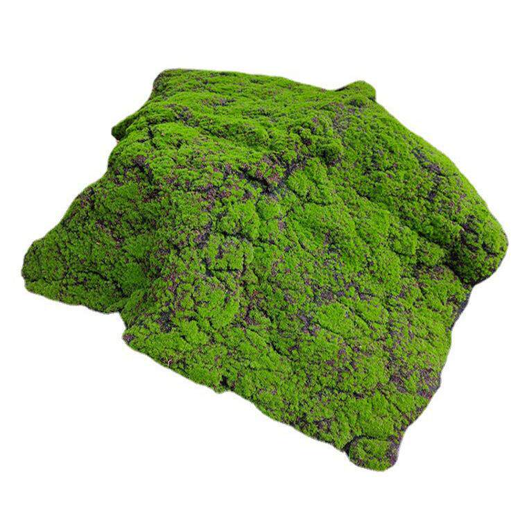 仿真苔藓草皮青苔鼓包植物墙假绿植永生苔藓人造草坪景观橱窗装饰
