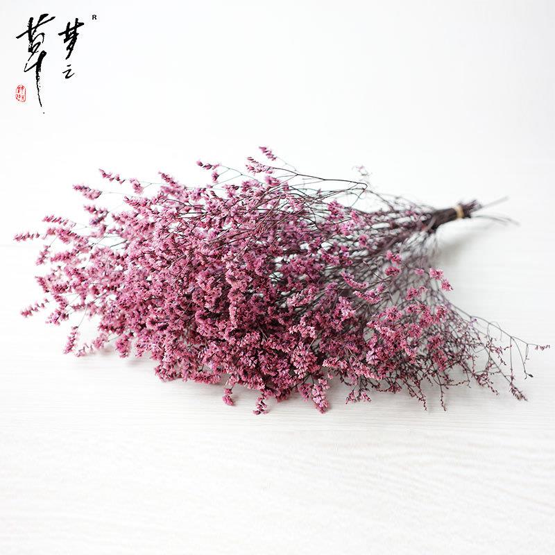 新款直销永生花材水晶草水晶花云南DIY花束配材干花圣诞节礼物