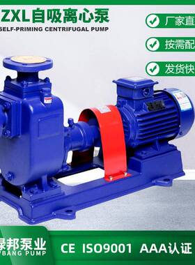 ZXP型不锈钢自吸泵 耐酸碱自吸泵 化工自吸离心泵 DN65