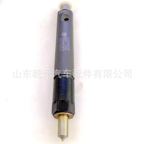 柴油车发动机喷油器 0432191669 喷油器总成0432191669